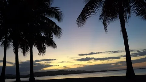 Tropical beach sunset Stock Footage 105871534