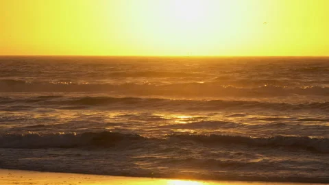 Tropical beach sunset. Stock Footage 220356839
