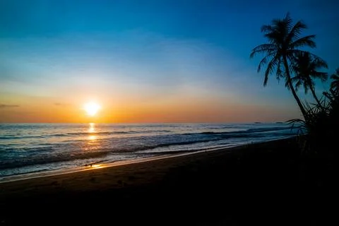 Tropical beach sunset with palm tree and colorful sky 写真素材