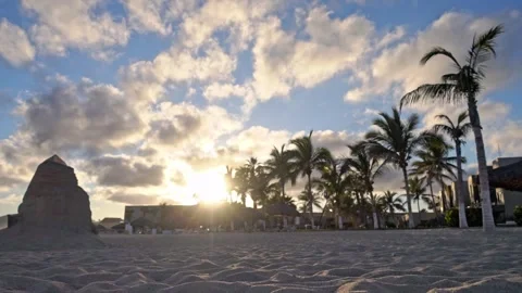Tropical Beach Sunset With Palm Trees and Sandy Shore in Cabo Mexico Stock Footage 335304350