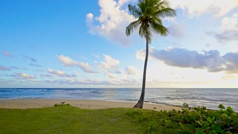 Tropical beach at sunset with palm trees and the sea. Stockbeeldmateriaal 345162037