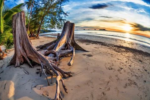 Tropical beach at sunset. Stock Photos