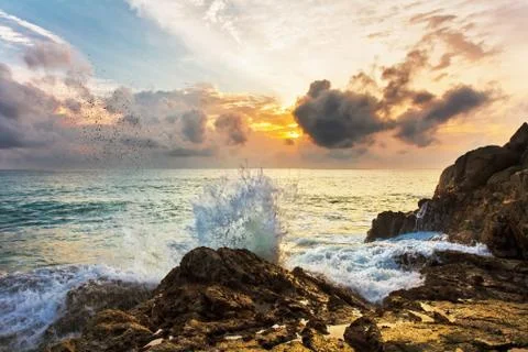Tropical beach at sunset. Stock Photos