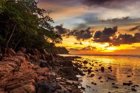 Tropical beach at sunset. Stock Photos