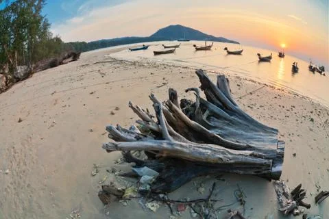 Tropical beach at sunset. Stock Photos