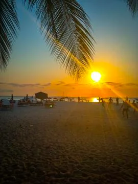 Tropical beach in sunset Stock Photos