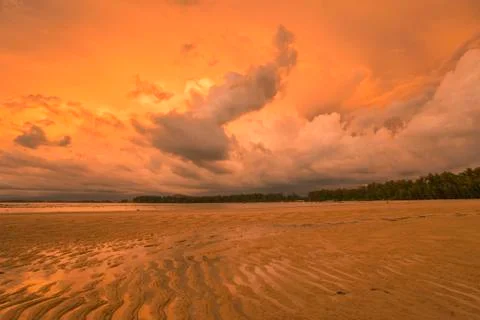 Tropical beach in sunset Stock Photos