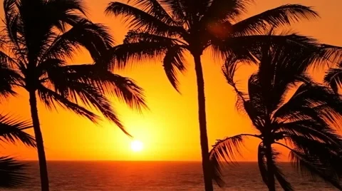 Tropical beach sunset, timelapse Stock-Footage 61673715