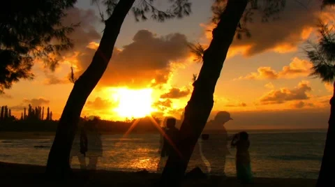 Tropical beach sunset timelapse w silhouettes Stock Footage 1043624
