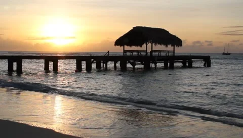 Tropical Beach Sunset Tobago Video stock 4807622