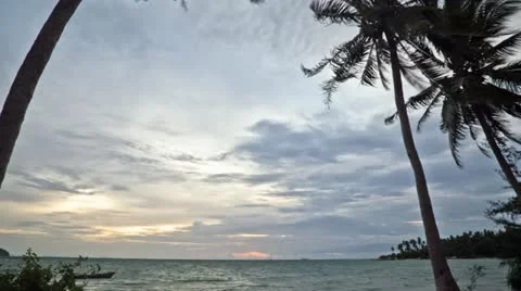 Tropical beach sunset trough coconut trees, timelapse Stock Footage 11333596