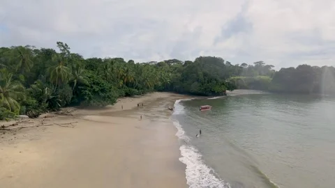 Tropical Beach Surrounded by Lush Greenery in Buenaventura Stock Footage 330278457
