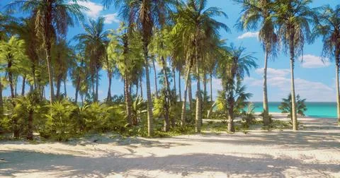 Tropical beach surrounded by palm trees under a clear blue sky Stock Illustration