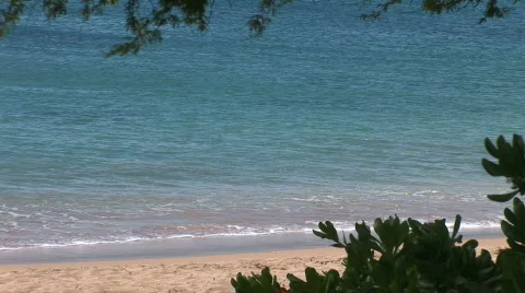 Tropical Beach through trees and bushes 動画素材 337109