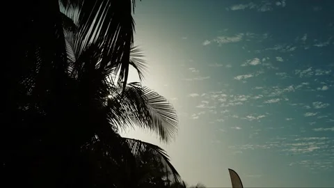 Tropical beach timelapse with palm trees in silhouette and clouds moving  Stock Footage 309913344