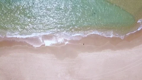 Tropical beach  - Top down aerial view Stock Footage