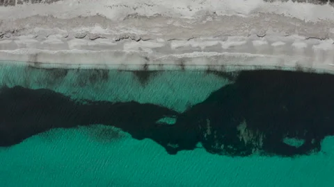 Tropical beach, top view of waves breaking on white sand beach. Video stock 170872518