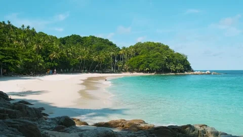 Tropical beach with turquoise waters, sandy shore, palm trees, rocks and green Stock Footage 322070643