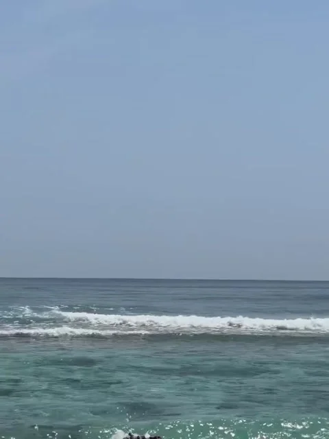 Tropical Beach Under Clear Blue Sky 库存影片 341630041