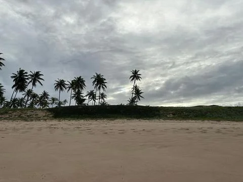 Tropical Beach Under Cloudy Sky Stock Photos