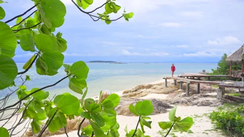 Tropical beach view Stock Footage 156408412