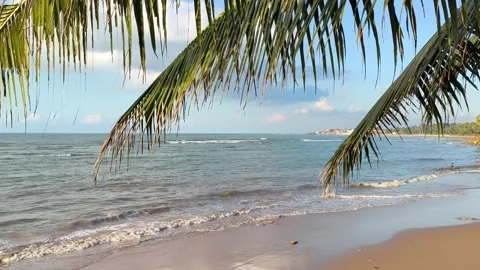 Tropical Beach View Framed by Palm Leaves and Gentle Ocean Waves Stock Footage 340216362