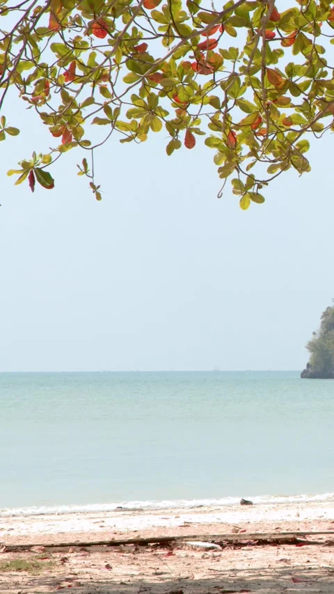 Tropical Beach View Framed by Tree Branches in Krabi Thailand Vídeo Stock 333658861