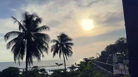 Tropical beach view with palm trees and ocean waves. Stock Footage 320504843