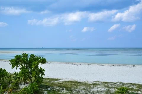 Tropical beach view Stock Photos