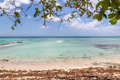 A Tropical Beach View Stock Photos