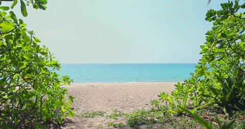 Tropical beach view through lush green leaves, bright blue sky, serene Video stock 305932482