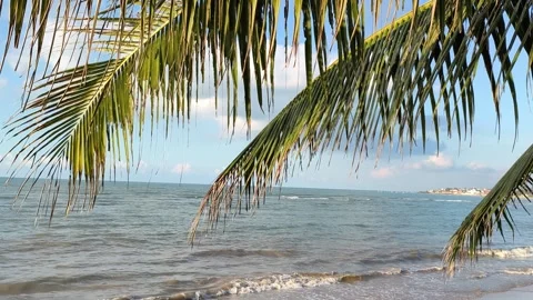 Tropical Beach View Through Palm Leaves with Ocean Waves Stock Footage 340216343