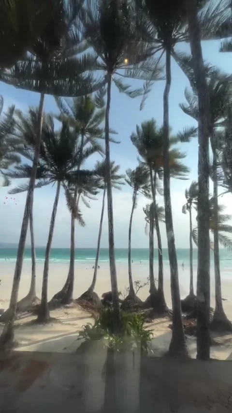 Tropical Beach View Through Restaurant Window With Palm Trees Stock-Footage 342264900
