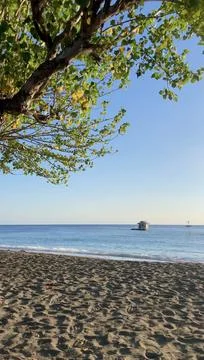Tropical Beach View Through Tree Branches with Calm Blue Ocean Stock Photos