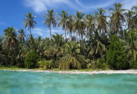 Tropical beach from water surface Stock Photos