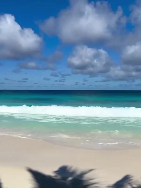 Tropical Beach Waves and Lush Green Hill Stock Footage 341629672