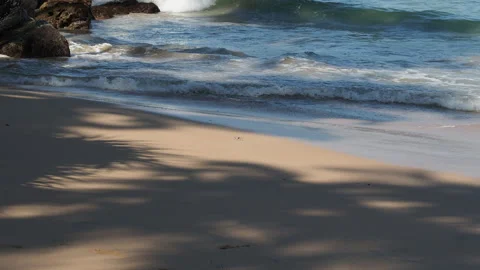 Tropical beach waves crashing on sandy shore Stock Footage 340641712