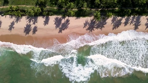 Tropical Beach Waves Video stock 323151102