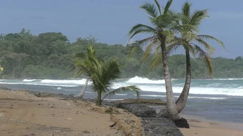 Tropical Beach Waves - PakiPoint 05 Stockbeeldmateriaal 158517616