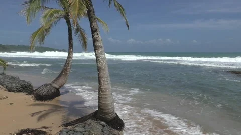 Tropical Beach Waves - PakiPoint 06 Stockbeeldmateriaal 158517585