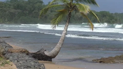 Tropical Beach Waves - PakiPoint 07 Stockbeeldmateriaal 158517929