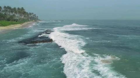 Tropical beach waves, palm tree coast, crystal blue ocean, serene beach view Stock Footage 308896968