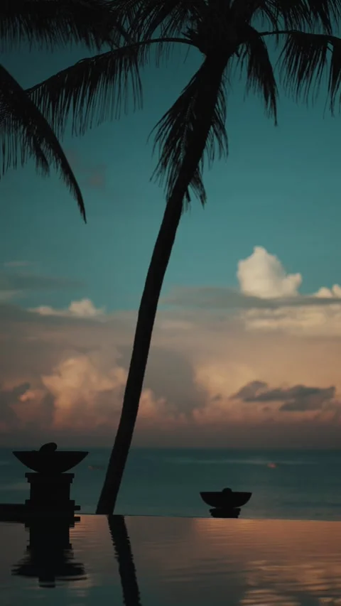 Tropical Beach Waves at Sunset in Bali Indonesia Vertical Video 库存影片 335223312