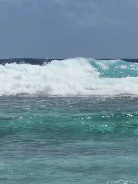 Tropical Beach Waves Under Cloudy Sky Stock Footage 341630063