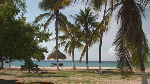 Tropical beach - wide Stock Footage 93138