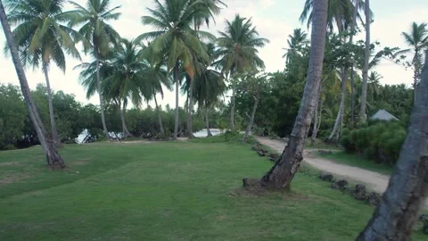 Tropical Beachfront Grounds with Palm Trees 動画素材 336713086