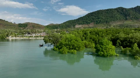 Tropical beachfront villas overlooking a turquoise bay Stock-Footage 303358557