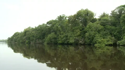 Tropical Berbice River in Guyana 03 Stock Footage