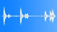 Tropical bird 02 Sound Effect