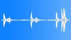 Tropical bird 03Sound Effect